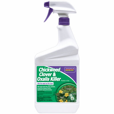 Hardware Store USA | QT Chick/Clover Oxalis