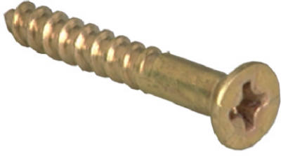 Hardware Store USA | 100PK 10x2 FHPhil Screw