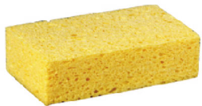 XL C41 Comm Sponge