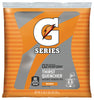 Hardware Store USA | 21OZ ORG Gatorade | Pack Of 32