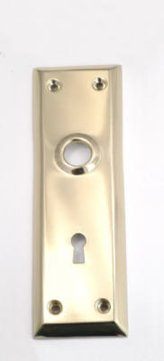 BRS Mortise Trim Plate