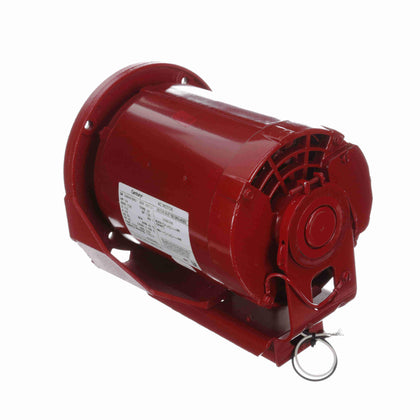 HW2024BL - 1/4 HP Circulator pump Motor, 1 phase, 1800 RPM, 115 V, 48 Frame, ODP - Hardware & Moreee