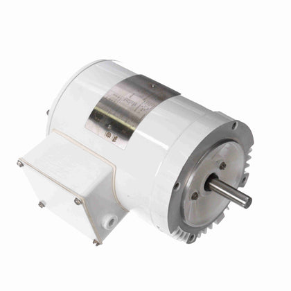 Leeson/Lincoln LM20662 Washdown Duty Motor