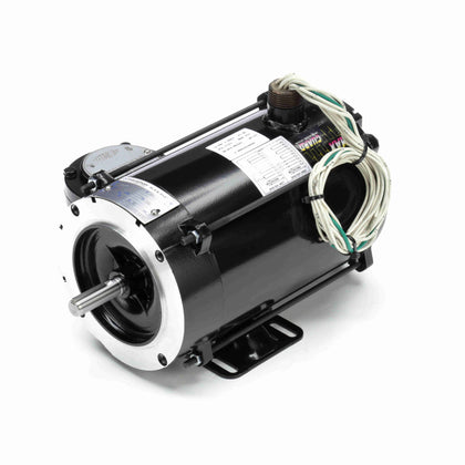 Marathon Y603 Vector Duty Motor