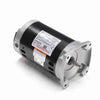 H491 -  1/2 HP Pool Pump Motor, 3 phase, 3600 RPM, 208-230/460 V, 56Y Frame, ODP