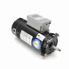 USTG1152A - 1 1/2 HP Pool Pump Motor, 1 phase, 3600 RPM, 230/115 V, 56J Frame, ODP