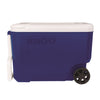 Hardware store usa |  Wheelie 38QT BLU Cooler | 34482 | IGLOO CORPORATION