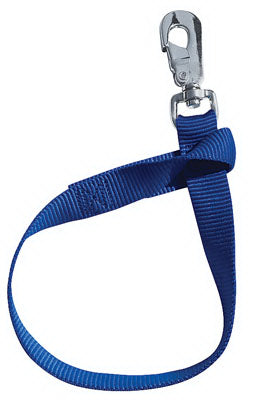 Hardware Store USA | 1x22 BLU Bucket Strap