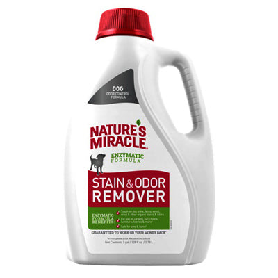 Hardware Store USA | GAL Stain/Odor Remover