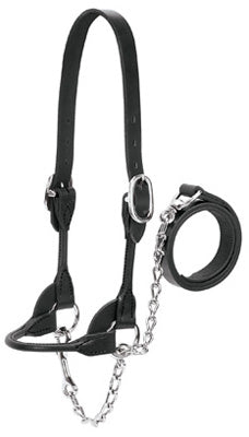 Hardware Store USA | MED BLK Show Halter