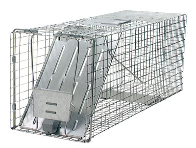 Hardware Store USA | 32x10x12 Pro Cage Trap