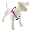 Hardware Store USA | 3/4x15-21PP Dog Harness