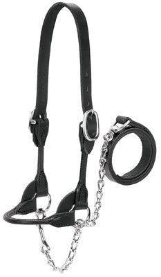 Hardware Store USA | LG RND Bridle Halter