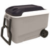 Hardware store usa |  40QT Carb Ice Chest | 34226 | IGLOO CORPORATION