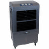 Hardware Store USA | 3500 Port Evap Cooler