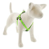 Hardware store usa |  3/4x15-21GD Dog Harness | 48144 | LUPINE INC